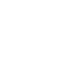 Build the Organisation Behind the Innovation