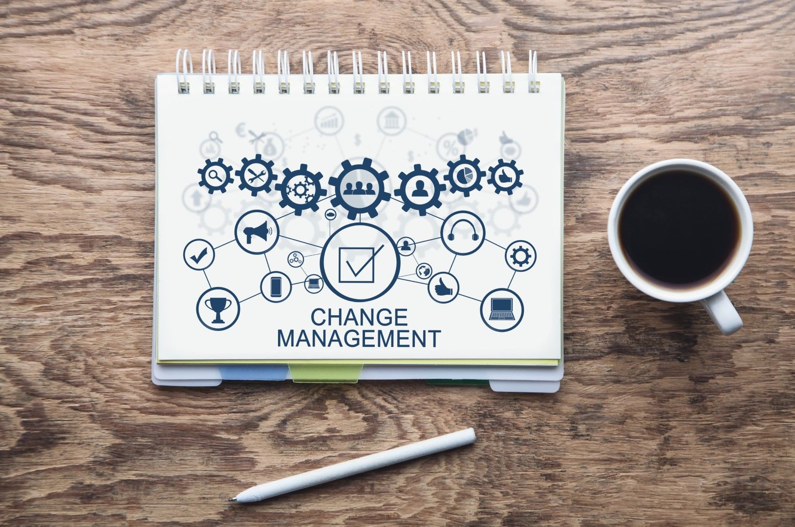 Navigating Change & Transition